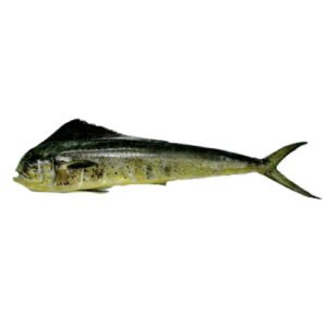 MAHI MAHI