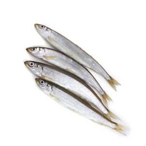 SMELT FISH