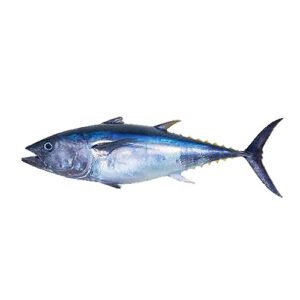 TUNA